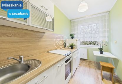 Kawalerka na wynajem