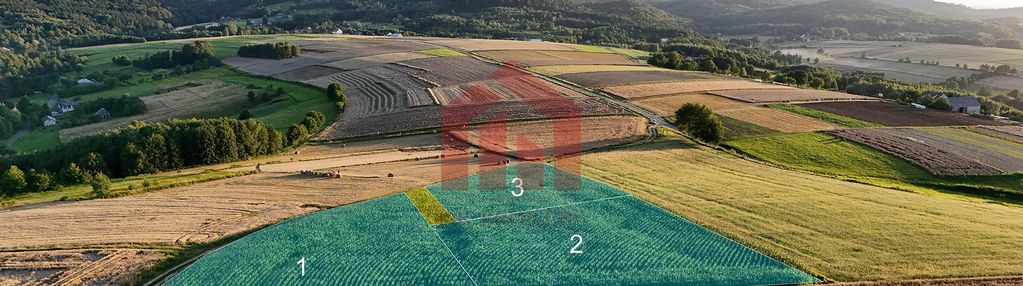 Działka na sprzedaż 26arow brzeziny, gmina wielopole skrzyńskie