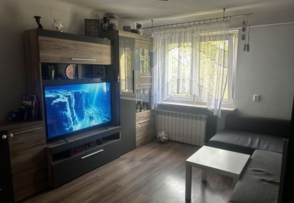 Przestronne 3 pokoje | spokojna zielona dzielnica