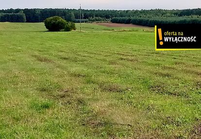 Działka pod agroturystykę w celinach 3,5 ha