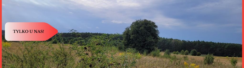Tylko u nas! świetna lokalizacja, cisza!