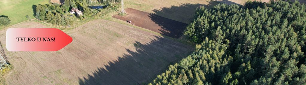 Siedlisko 11,75 ha z prywatnym lasem