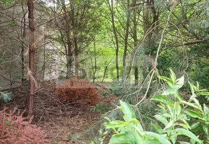 Działka w zacisznym miejscu.