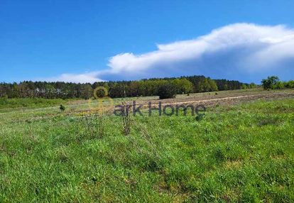 Teren o powierzchni 1,51ha trzciel/jasieniec.