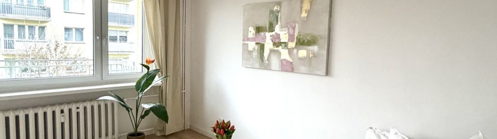 Przestronna jasna kawalerka ul.wierzbowa