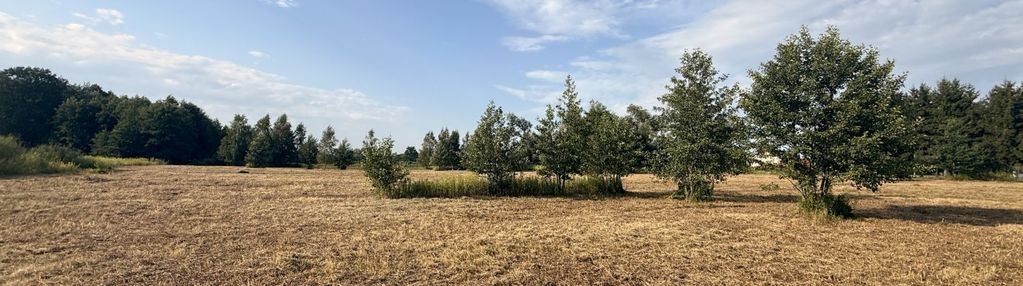 4 działki z wydanymi  warunkami zabudowy
