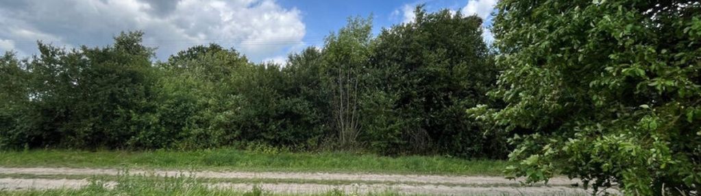 Działka z potencjałem w teodorowie