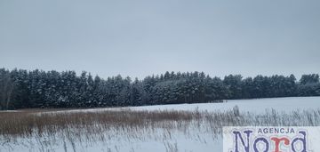 Działka z widokiem na las, pozwolenie na budowę