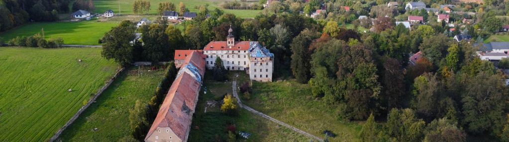 Pałac wraz ze stajniami i parkiem do rewitalizacji