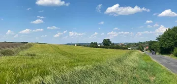 Działka na sprzedaż 1002m2