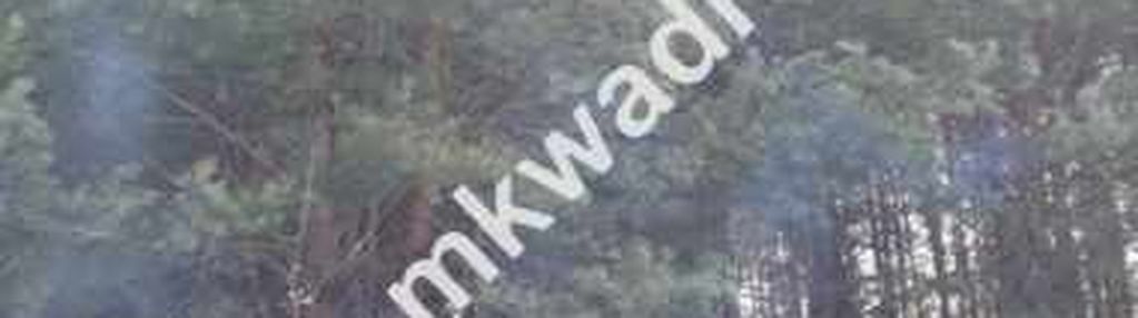 Możl podziału na 2 | okazja! | objęta mpzp | super