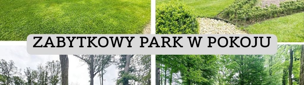 Dom wolnostojący na sprzedaż duża działka 234m2