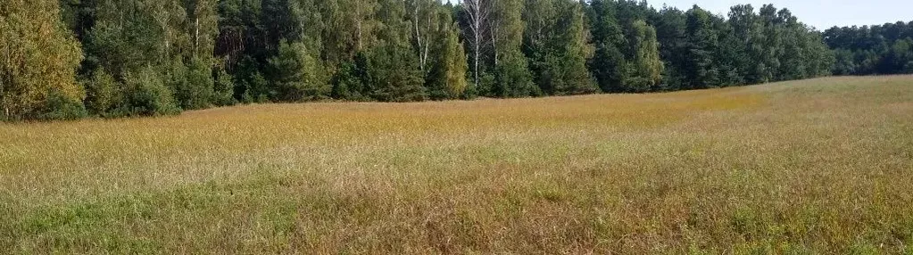 Działka na sprzedaż 1000m2