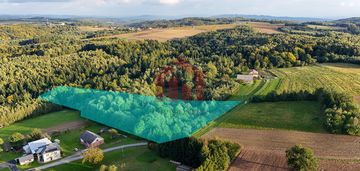 1,47 ha, wz! dom w lesie? biznes? jedyna taka!