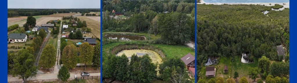 3000 mkw. własnym lasem, stawem i wz-ką