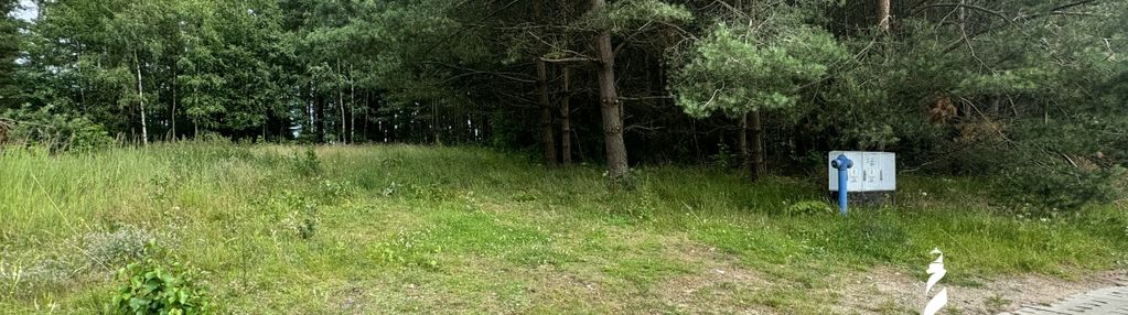 Działka z własnym lasem, blisko trasy kaszubskiej!