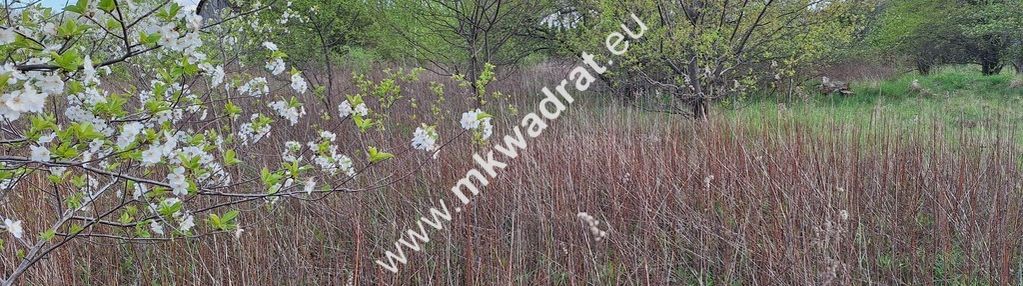 Działka w dobrej lokalizacji