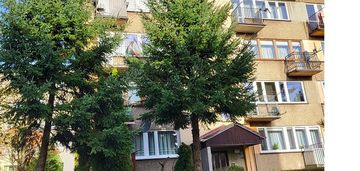 Mieszkanie wśród zieleni