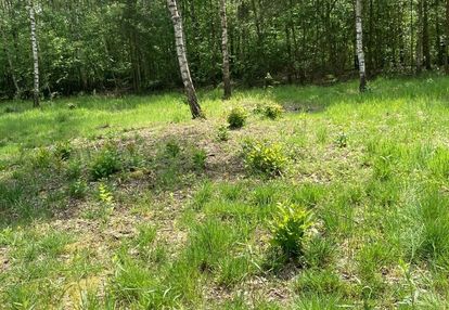 Działka za miastem.