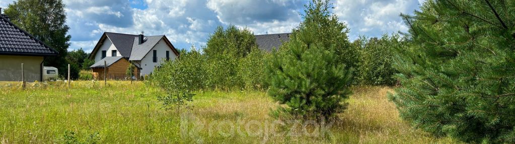 Cisza, natura i dogodna lokalizacja!