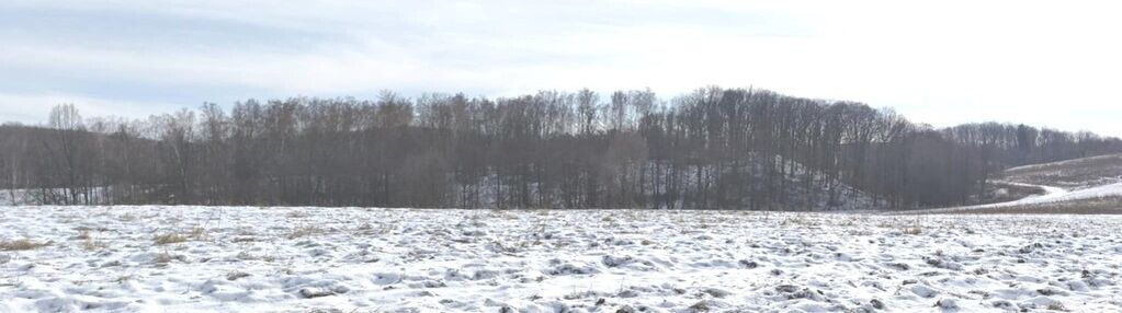 Inwestycja - trzy bliźniaki lub domy jednorodzinne