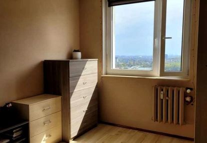 Ielony azyl w gdańsku – widok na las