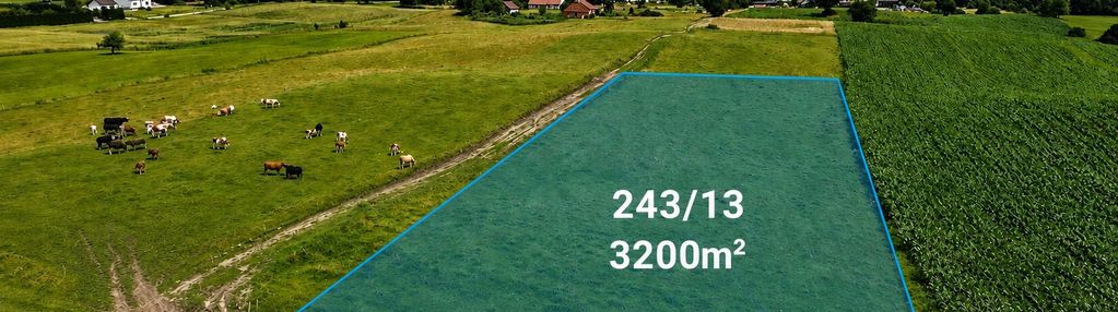 Działka 3200 m² w jurkach 5 min. od  morąga