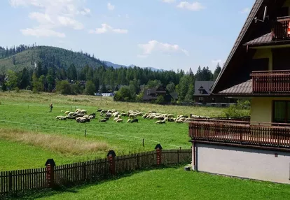 Okazja! Mieszkanie Zakopane Tanio