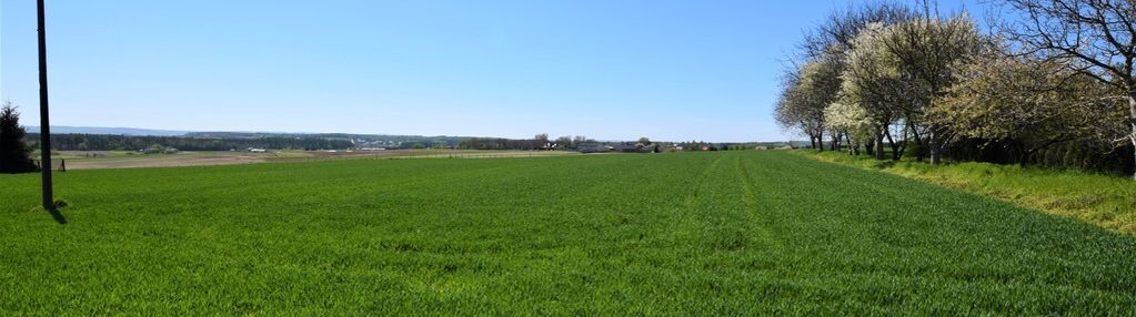 Piekna działka na sprzedaż widna góra