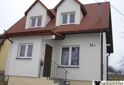 Niewielki dla ciebie