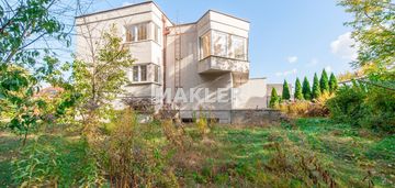 Blizniak  z linią lasu białe błota