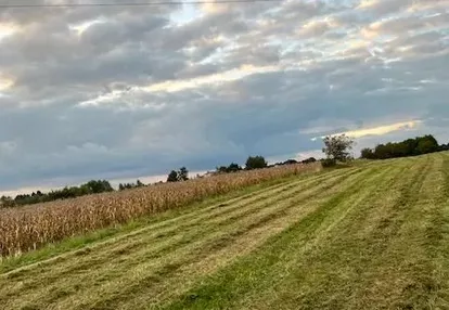 Działka na sprzedaż 6000m2