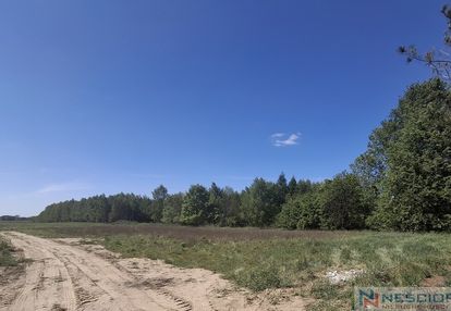 Działki budowlane– przywory duże/10km od siedlec
