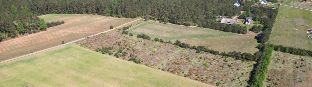 Dziesięć działek na twój wymarzony dom.