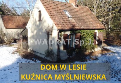 Klimatyczny dom w środku lasu działka 6100 m²