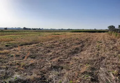 Działka na sprzedaż 1000m2