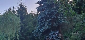 Działka letniskowa - jezioro zagłębocze