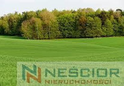 Działka pod zabudowę jednorodzinną- gręzów