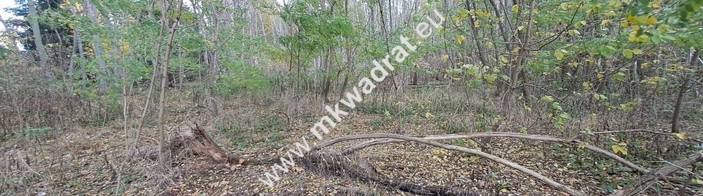 Atrakcyjna działka 1347m2, wyględy, pod kampinosem