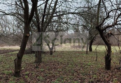 Działka białołęka jako inwestycja na przyszłość