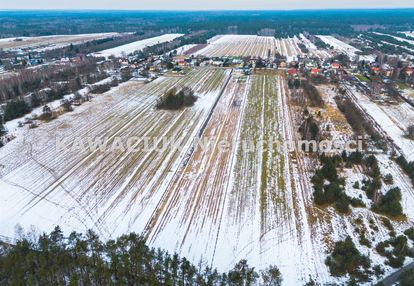 Działka pod lasem, królowa wola