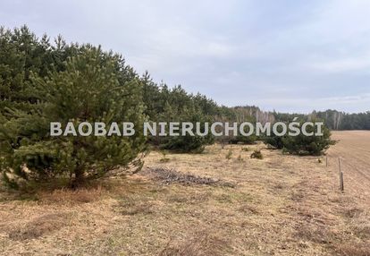 Piękna działka 1,3 ha na końcu wsi sródborze (wz)