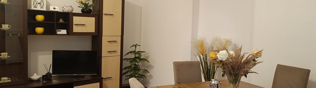 Duże mieszkanie w zielonej części starego zdroju