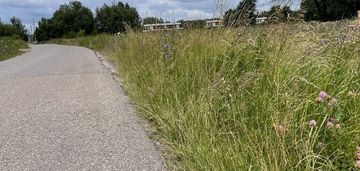 Działka przemysłowa 10 244 m² z mediami, słupno.