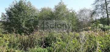 Działka w otulinie parku narodowego