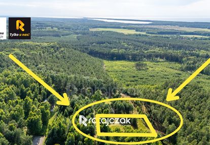 Działka budowlana | sasino | pod lasem | morze
