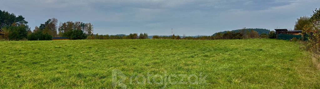 Zabudowa jednorodzinna wolnostojąca lub bliźniacza