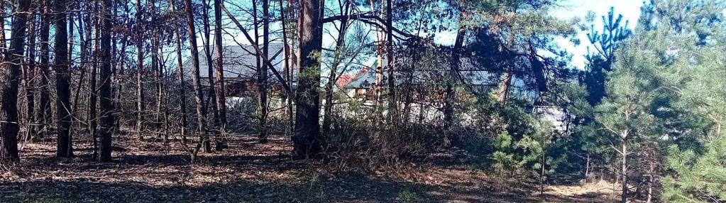 Nieruchomość nad zalewem z prywatnym lasem!