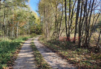 Duż działka inwestycyjna