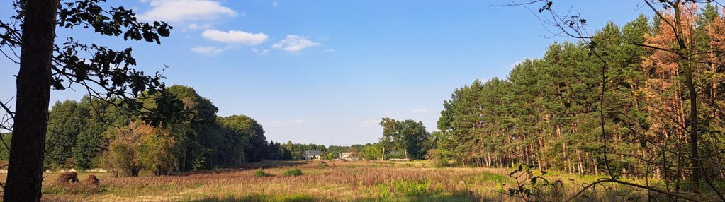 Działka pod zabudowę bieliny kampinos